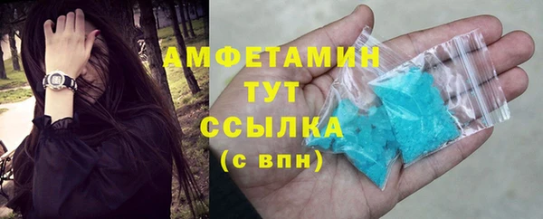сатива Вяземский