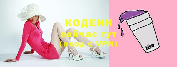 сатива Вяземский