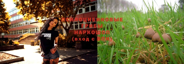 сатива Вяземский