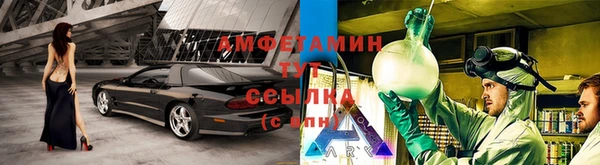 сатива Вяземский
