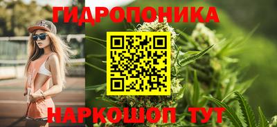 ешки Гагарин