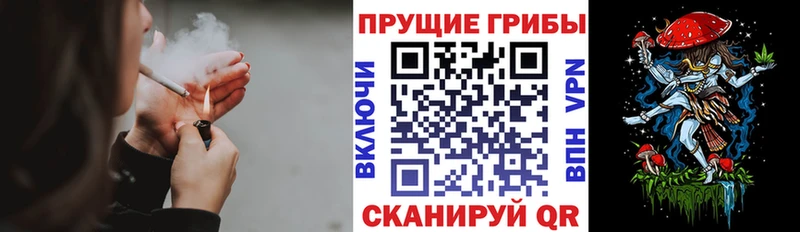 купить закладку hydra маркетплейс Галлюциногенные грибы Magic Shrooms Муром