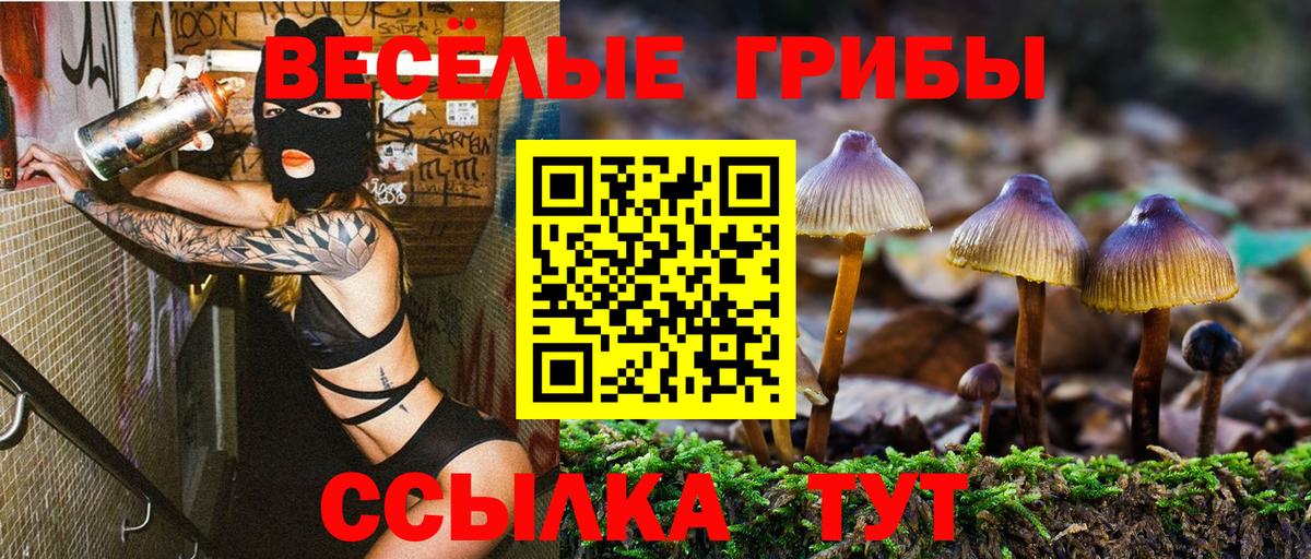 Галлюциногенные грибы MAGIC MUSHROOMS  Галлюциногенные грибы мухоморы  Вход с VPN  Муром 