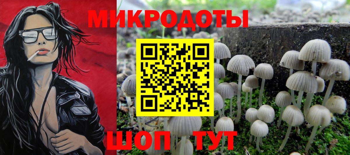Галлюциногенные грибы GOLDEN TEACHER Муром